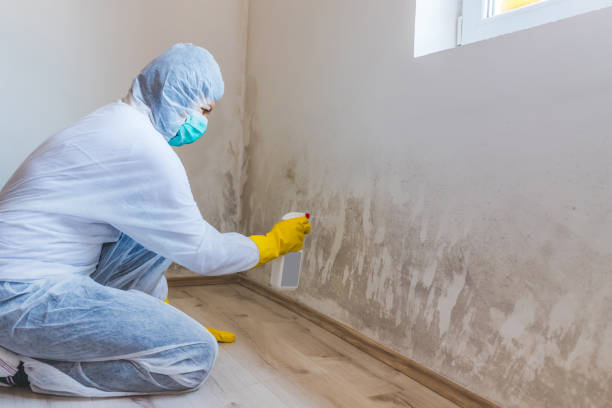 Bathroom Mold Removal assessment in Wakefield bathroom