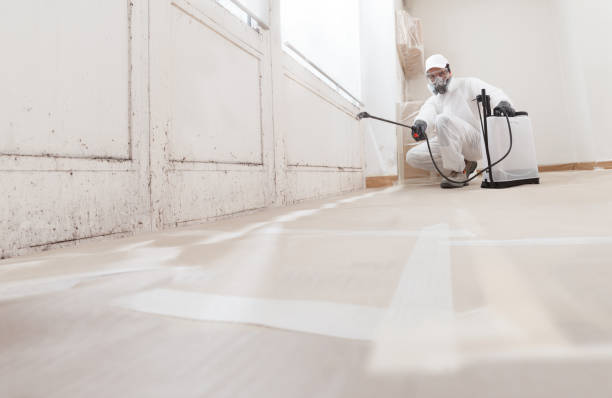 Black mold remediation team in Wakefield